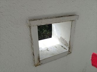 袖ケ浦市代宿 サイディング・板金への苔の発生