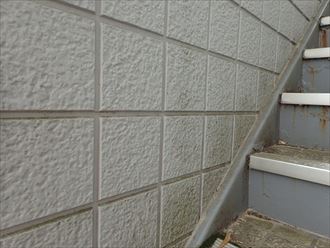 市原市で塗膜の剥がれから塗り替えの検討している外壁を調査
