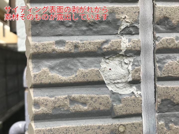 サイディング表面の剥がれから素材そのものが露出しています