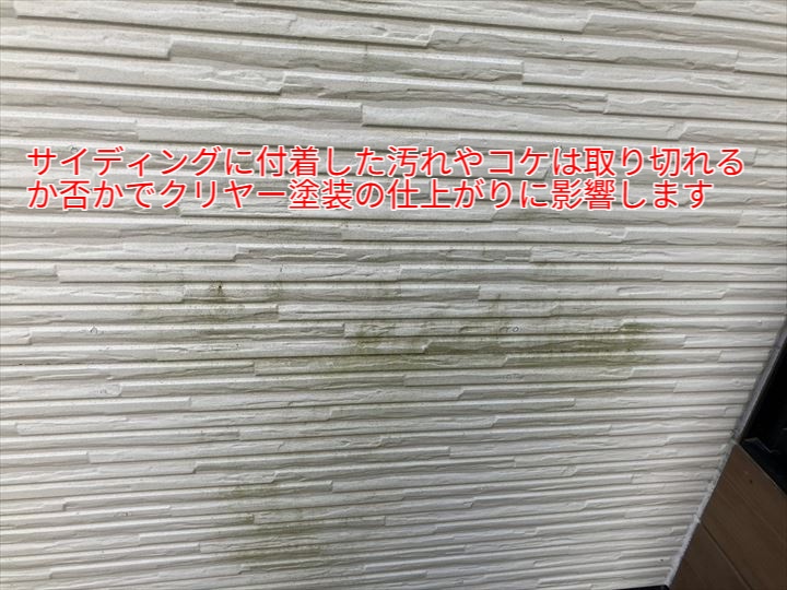 表面の汚れやコケを完全に除去する必要があります