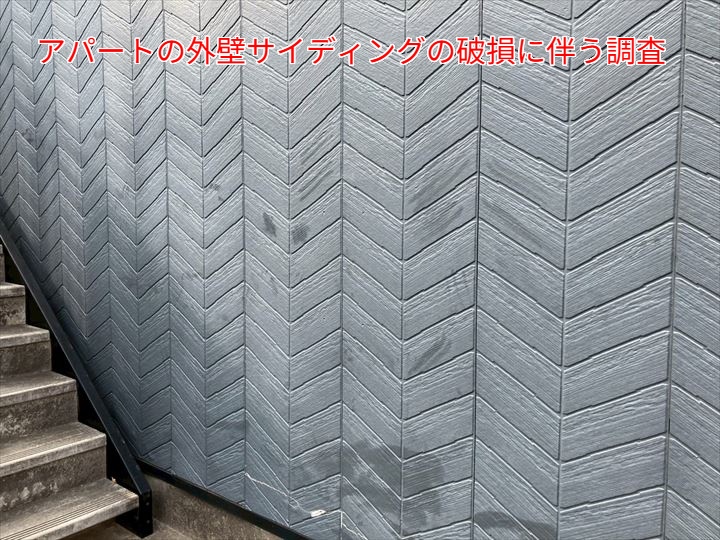 外壁サイディングの破損に伴い実施した調査の様子