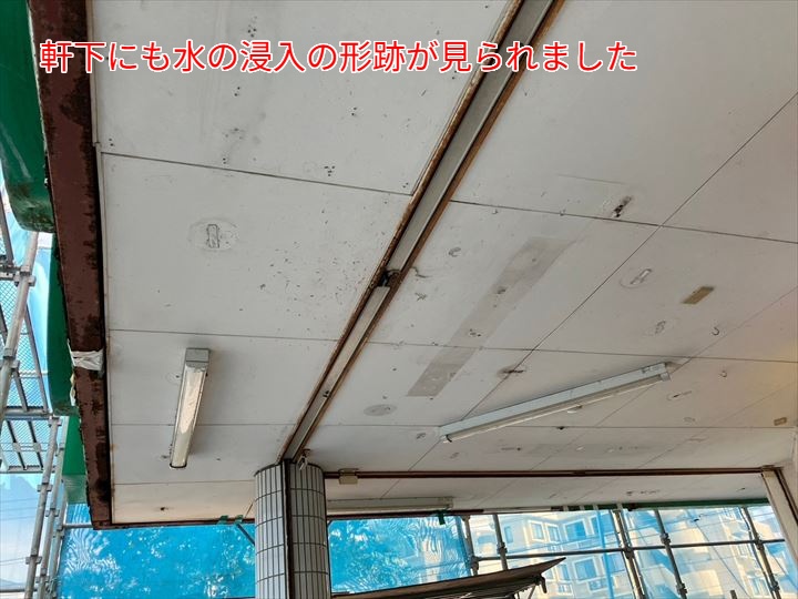 軒下にも水の形跡が見られました