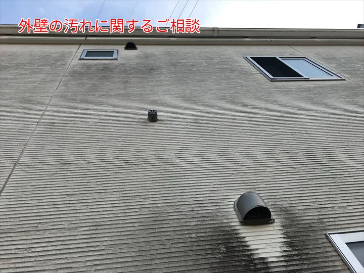 外壁汚れの調査