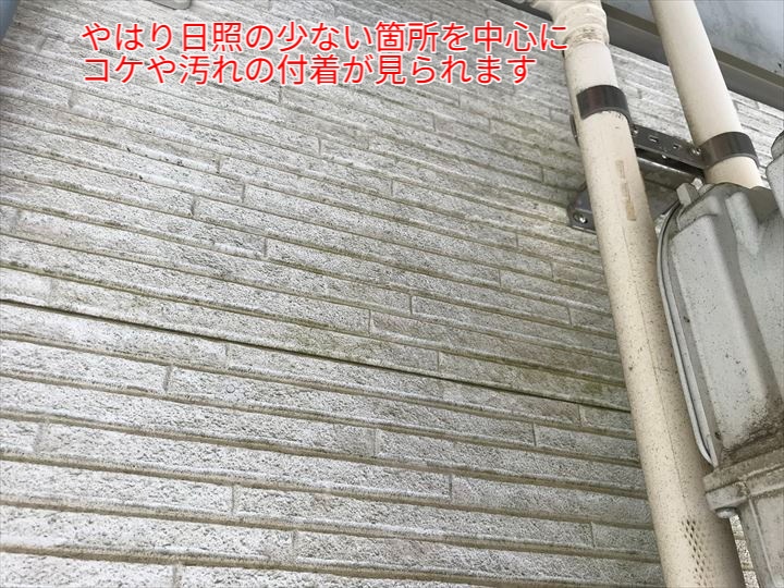 日照が限られる箇所はコケや汚れの付着がし易くなります