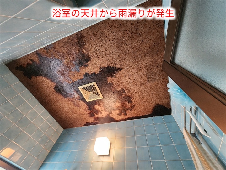 浴室天井の雨染み