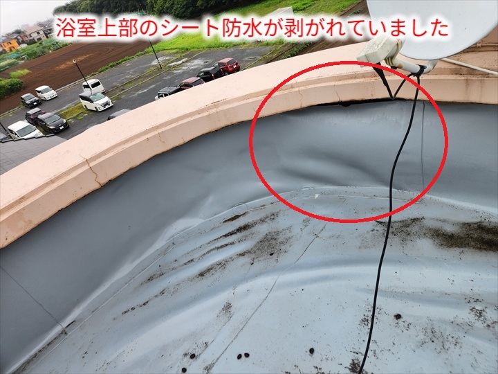 屋上防水の剥がれ