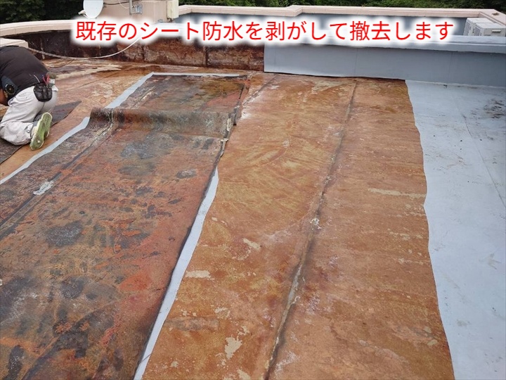 既存防水の撤去作業