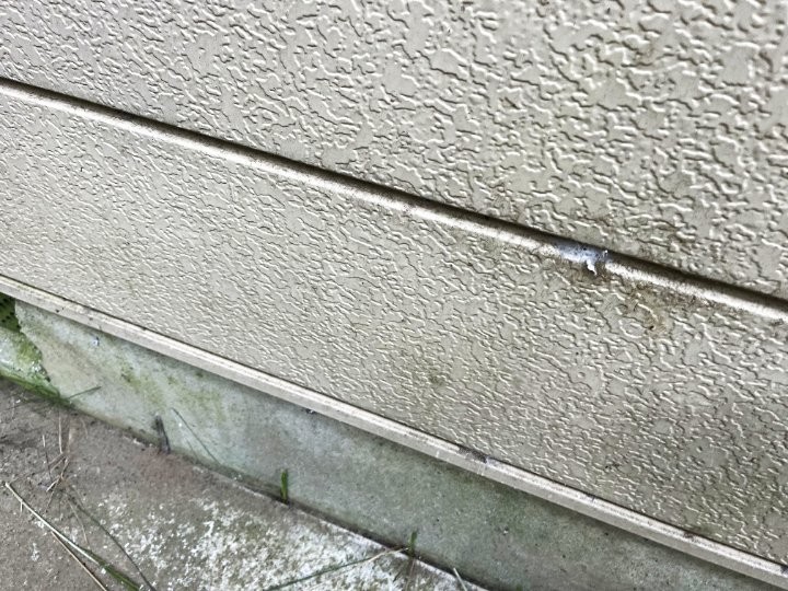 外壁下部の苔汚れ