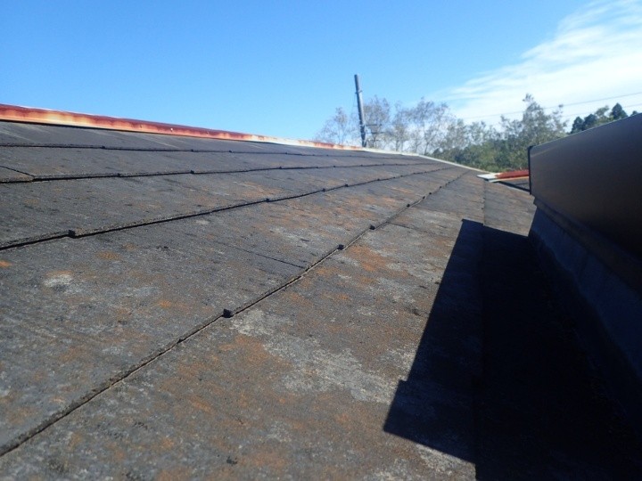 屋根材の苔の発生と退色