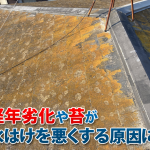 屋根の水はけが悪い原因とは？水溜まりが建物に与える影響と予防策