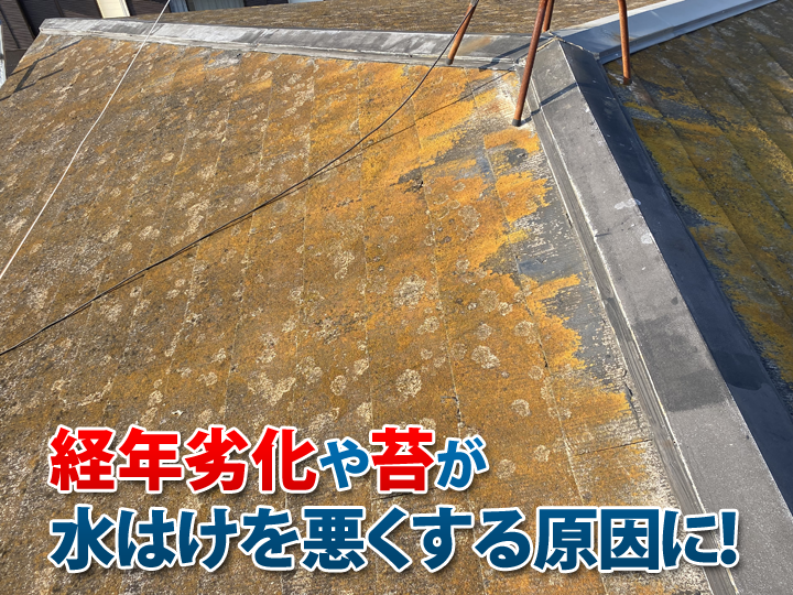 屋根の水はけが悪い原因とは？水溜まりが建物に与える影響と予防策