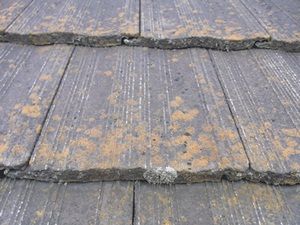セメント瓦　２回目の屋根塗装　印旛郡