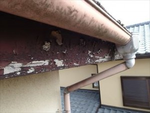 塗膜の劣化、クラック(亀裂）の発生は塗装時期のサイン｜千葉市