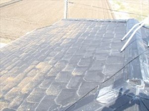屋根・外壁にコケは発生していませんか｜市原市