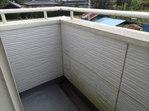 塗膜の防藻性能劣化によるコケ・藻の発生｜袖ヶ浦市