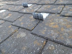 塗料の防藻性能劣化、屋根塗装工事ご提案｜市原市