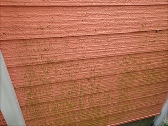 雨が多くなる時期です、外壁の状態は大丈夫ですか｜木更津市