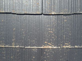 戸建て購入、屋根塗装はお任せ下さい｜市原市