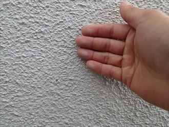 木更津市 塗膜の劣化