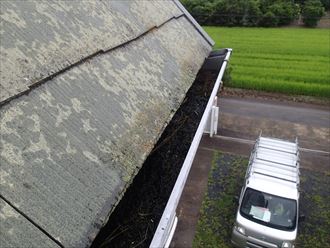 木更津市 塗膜の色褪せ