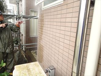 大網白里市 苔落とし