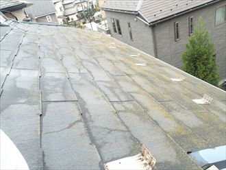 四街道市の塗装調査ひび割れ苔の発生塗装メンテナンスのご提案