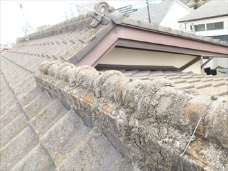 千葉市若葉区のセメント瓦塗装調査