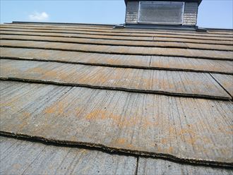 市原市 化粧スレート状態確認