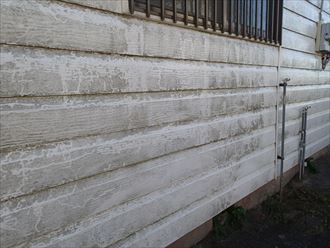 市原市の外壁塗装塗膜の劣化による苔の発生鉄部の錆