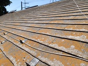 塗装工事の調査にお伺いいたしました。｜緑区