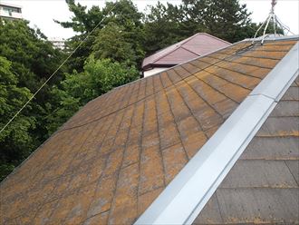 コケの発生により屋根材の劣化が早まる｜茂原市