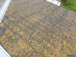 外壁と屋根の塗装工事の調査にお伺いいたしました。｜長生郡