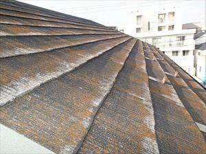 屋根と外壁塗装の調査にお伺いいたしました。｜浦安市