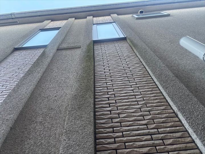 外壁の黒ずみとコケの付着