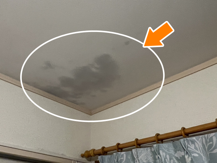 天井からの雨漏りの様子