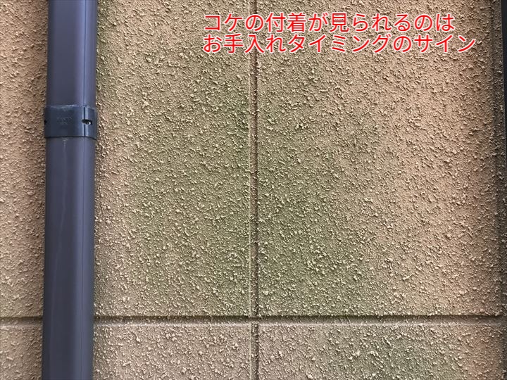 コケの付着が見られるALC外壁