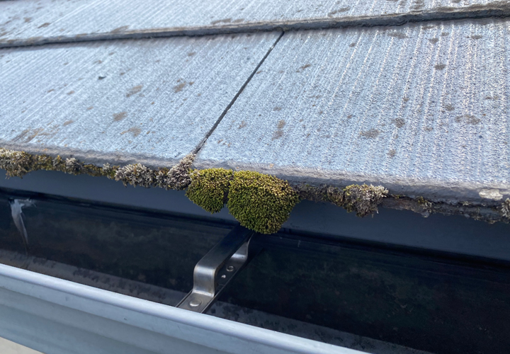 苔が発生してしまった化粧スレート屋根