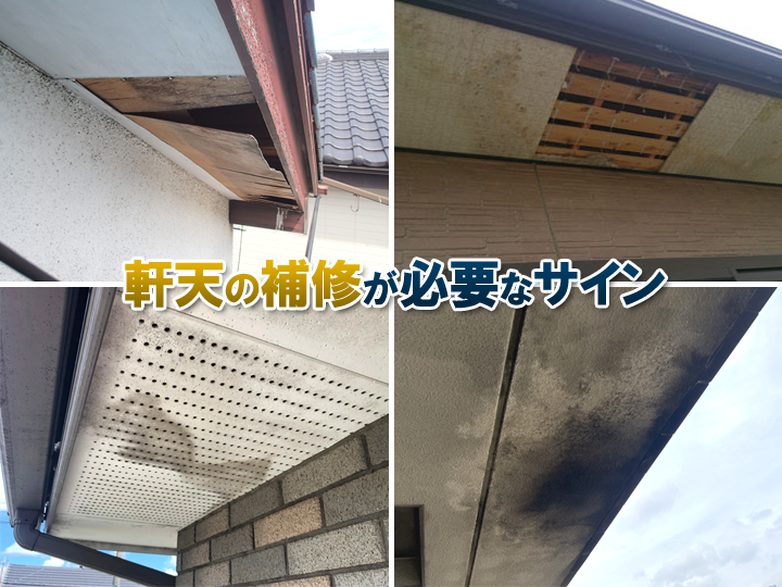 軒天補修で雨漏り・害獣対策！劣化症状と補修方法をプロが解説