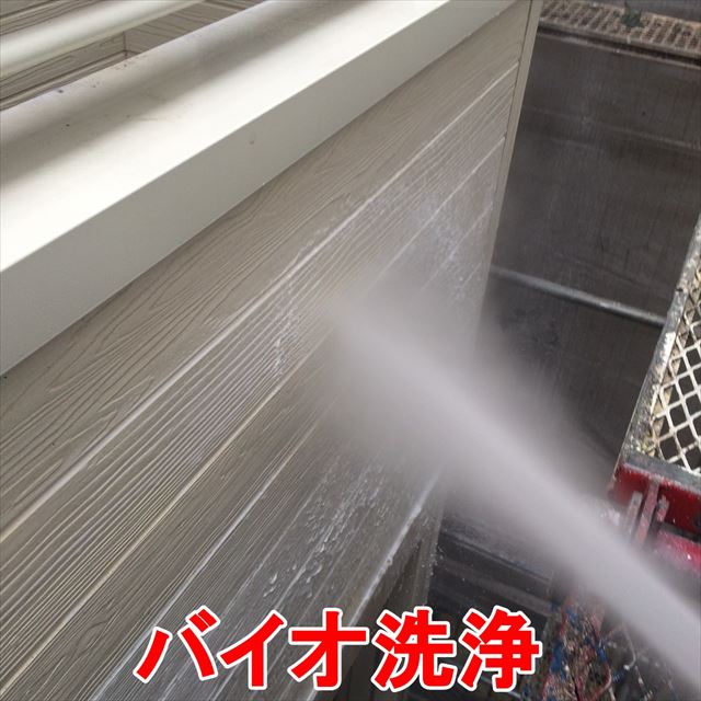 バイオ洗浄