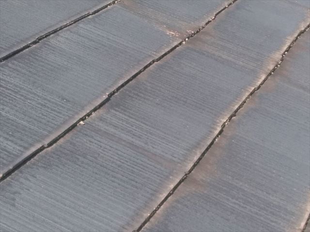 既存の屋根