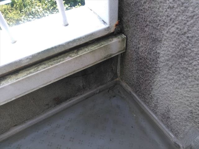 外壁の汚れ