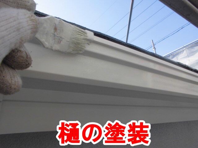 樋の塗装