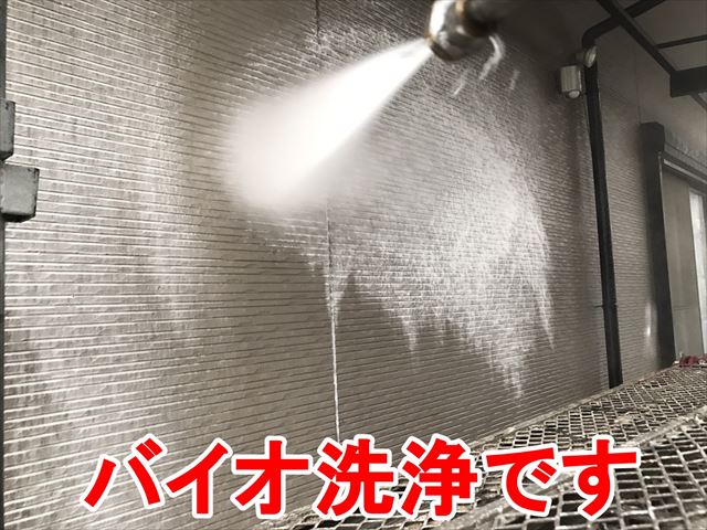バイオ洗浄