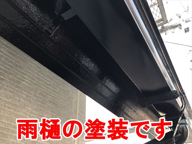 雨樋の塗装