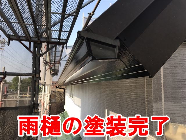 雨樋の塗装完了