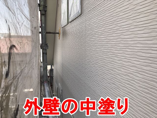 外壁の中塗り
