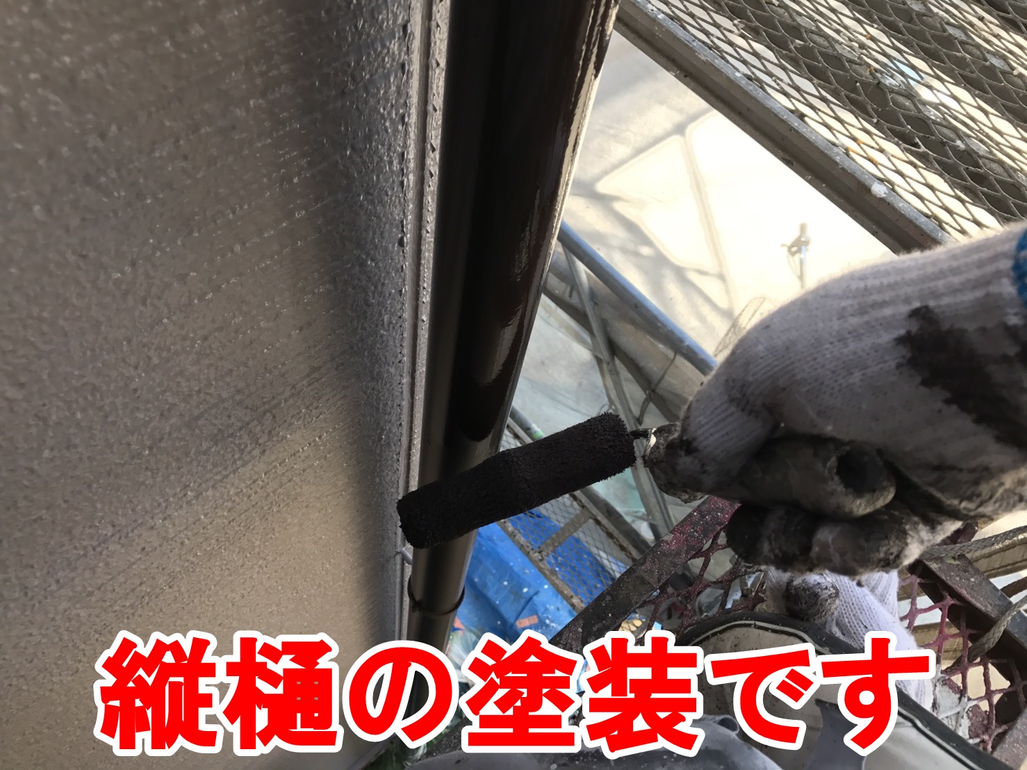 縦樋の塗装