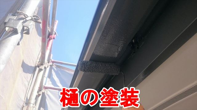 樋の塗装