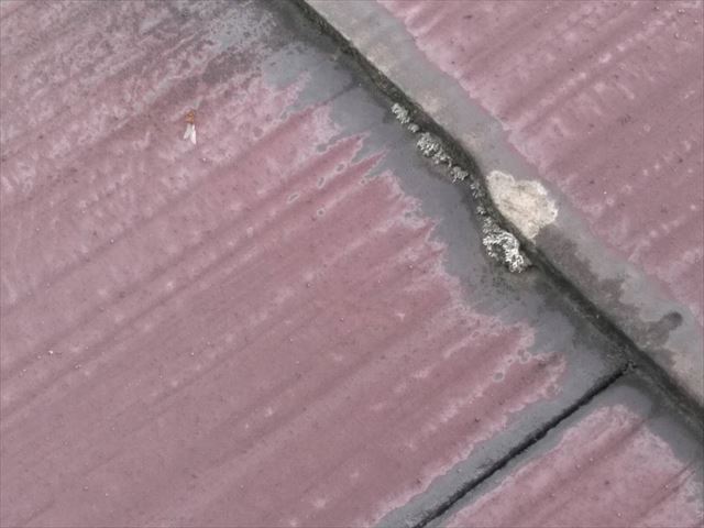 春日井市高蔵寺町北にて屋根と外壁の下見にお伺いしました。