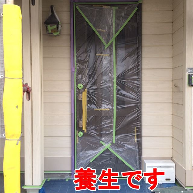 養生